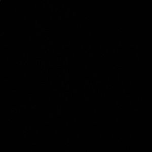 Meet your Posher, Isabella